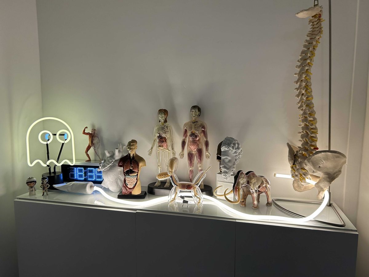 Cabinet de curiosités